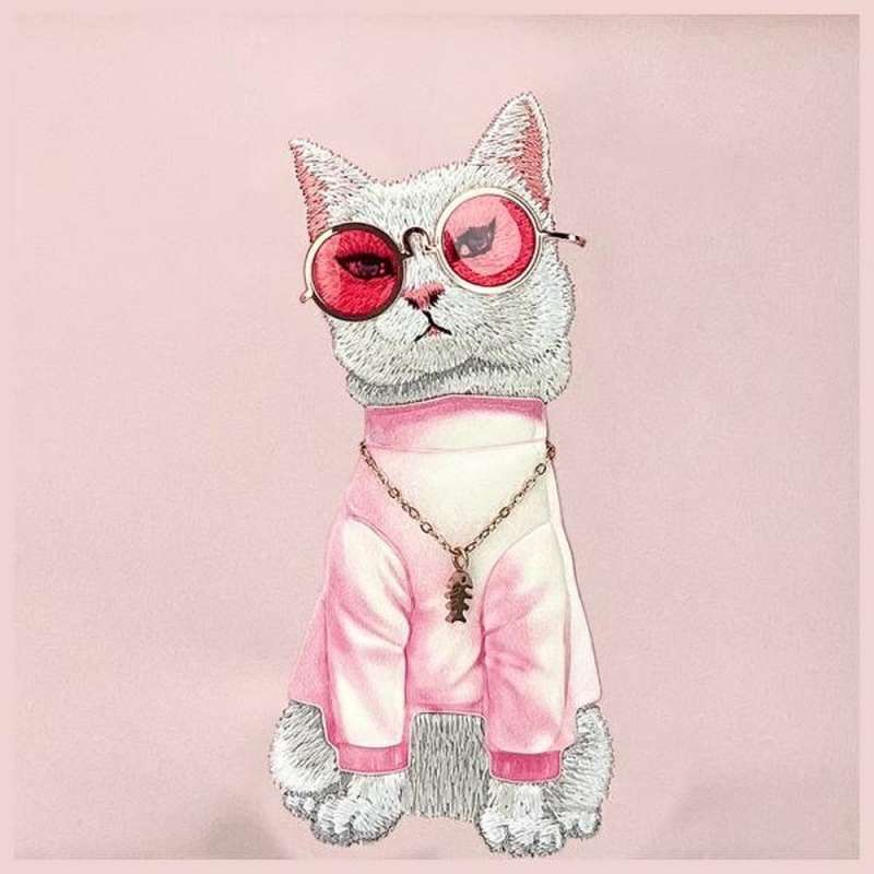 SPOTT-GR Nimmy Crossbody Cool Cat Glasses - Τσαντάκι Μέσης σε Ροζ Xρώμα