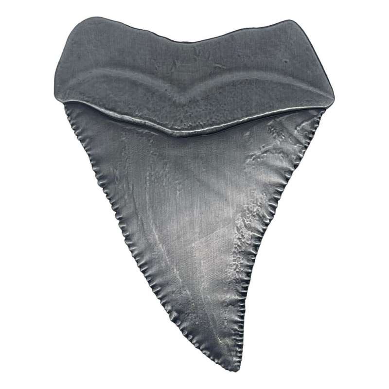 SPOTT-GR Jaws - Διακοσμητικό Jaws Medallion 50th Anniversary Shark Tooth
